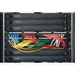 1 U vakpanel Digitus