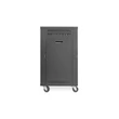 16U AVS Rack szekrény 507 x460mm DN-48001