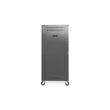 21U AVS Rack szekrény 507 x460mm DN-48002